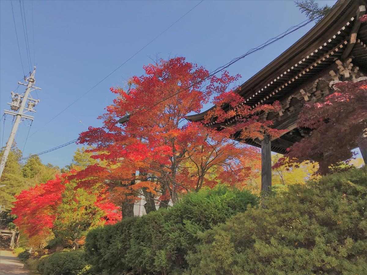 Guesthouse Daruma Takayama  Zewnętrze zdjęcie