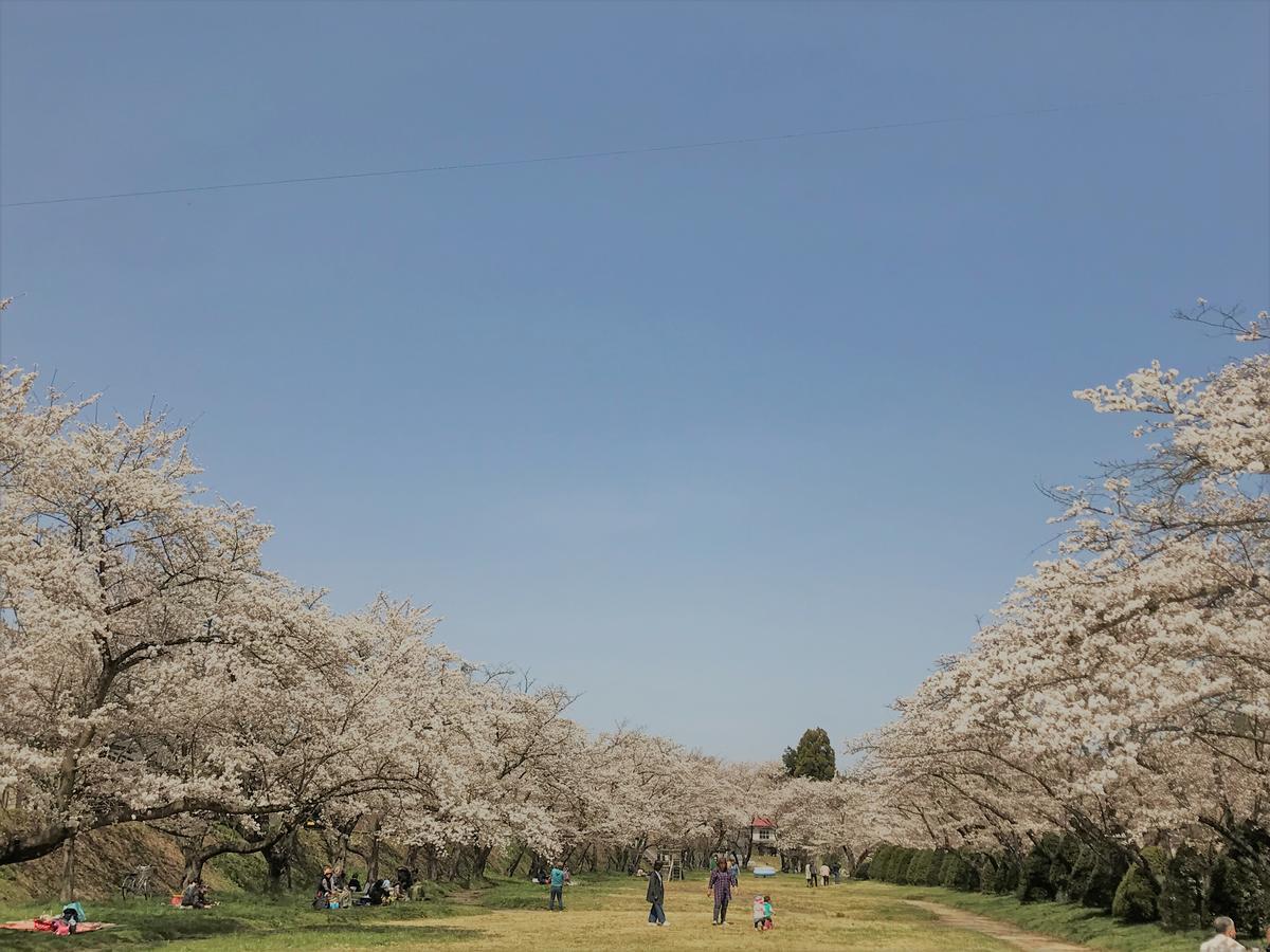 Guesthouse Daruma Takayama  Zewnętrze zdjęcie