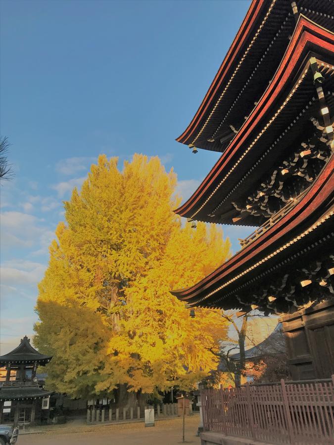 Guesthouse Daruma Takayama  Zewnętrze zdjęcie